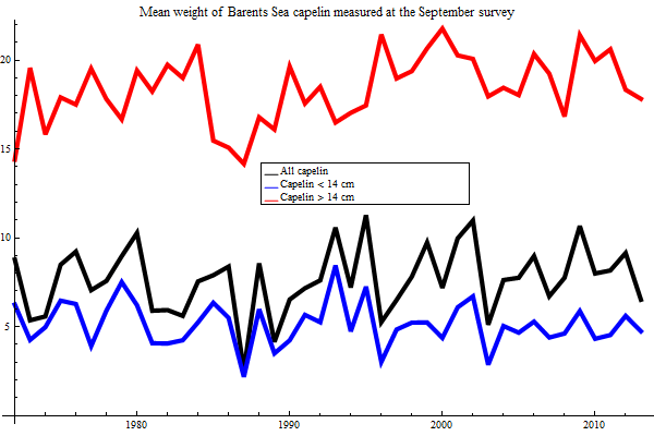Graphics:Mean weight of Barents Sea capelin measured at the September survey