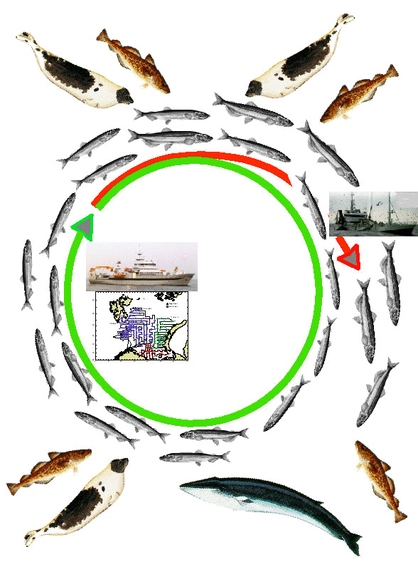 documentationPaper_1.gif
