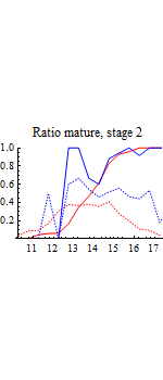 Graphics:Ratio mature, stage 2