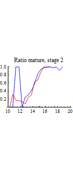 Graphics:Ratio mature, stage 2