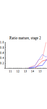 Graphics:Ratio mature, stage 2