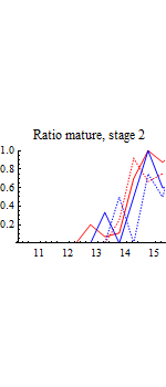 Graphics:Ratio mature, stage 2