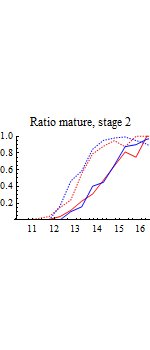 Graphics:Ratio mature, stage 2