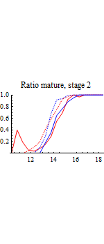 Graphics:Ratio mature, stage 2