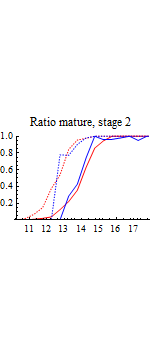 Graphics:Ratio mature, stage 2